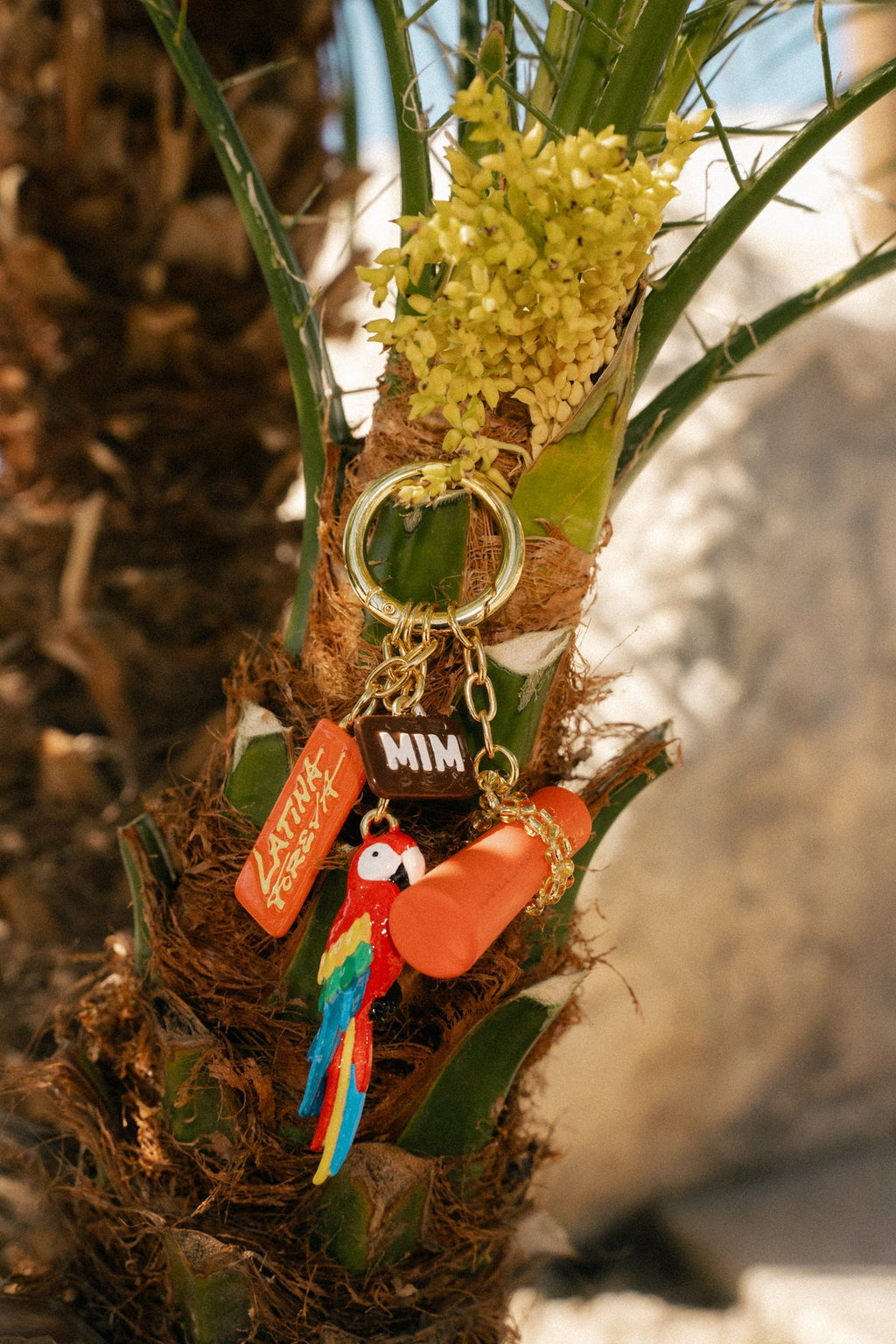 CHARMS + BAG LATINA FOREVA